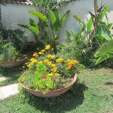 住宿加早餐酒店 盐和太阳住宿加早餐酒店 圣卡塔尔多