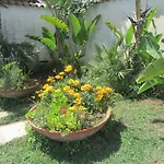 Nocleg ze śniadaniem Sole E Sale San Cataldo (Apulia)
