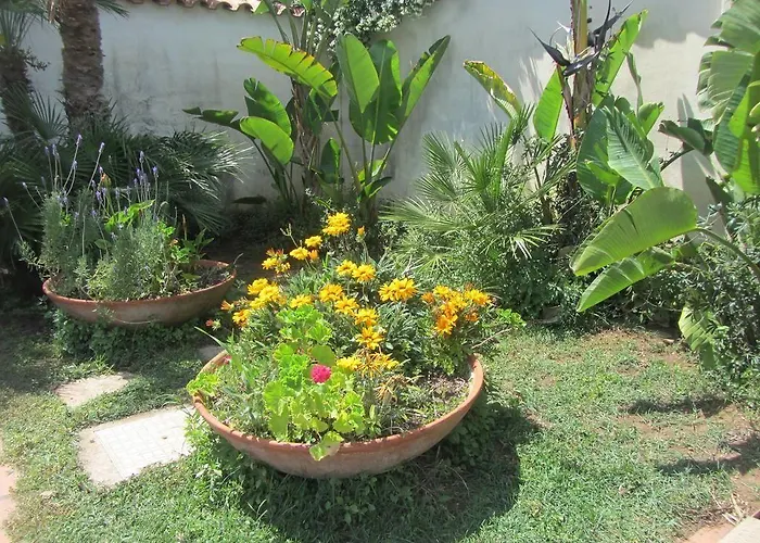 Bed & Breakfast Sole E Sale San Cataldo (Apulia)